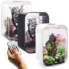 Oase Multicolor Fish Tank Life