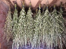 100% Mugwort 75g🌿 NEW HARVEST 📢 Artemisia vulgaris dried herb /tea 🍵