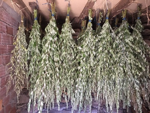 100 mugwort 75g - 100%,