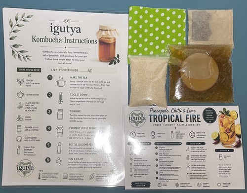 Live kombucha scoby 7cm - live, &