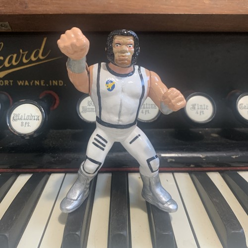 Wwf hasbro custom space - wwf,