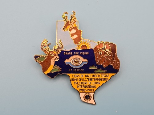 Pin badge lions club - pin,