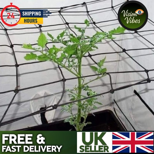 Flexible stretchy scrog net - scrog,
