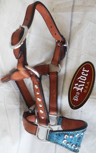 Horse noseband tack - horse, leather