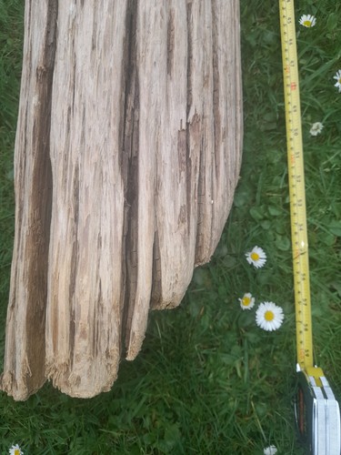 Metre long log driftwood - metre,