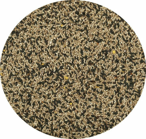 Canary seed mixed - canary, food