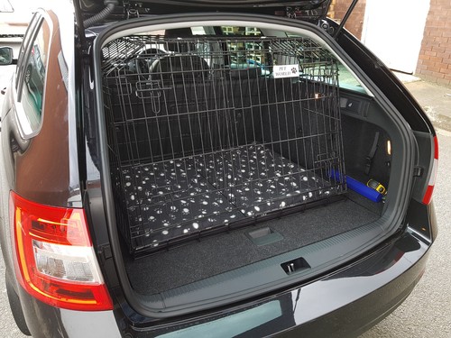 Pet world skoda - world, octavia