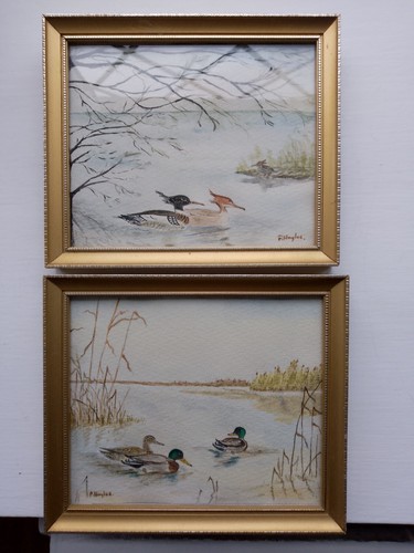 Two wildfowl original drawings - wildfowl,