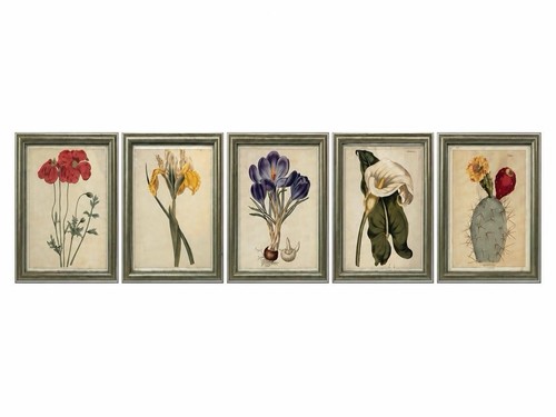 Stunning vintage botanical