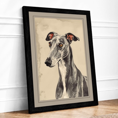 Greyhound study vintage framed - greyhound,
