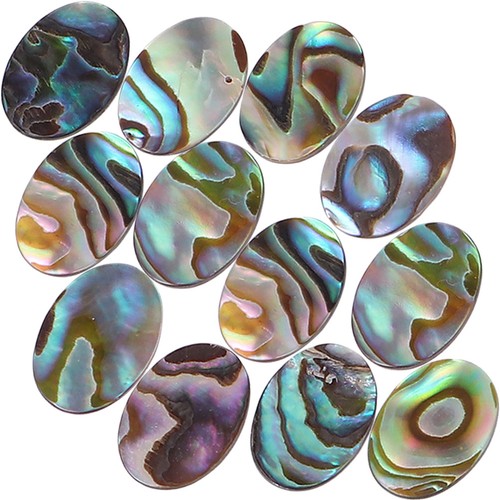 12pcs abalone shell pendants - shell,