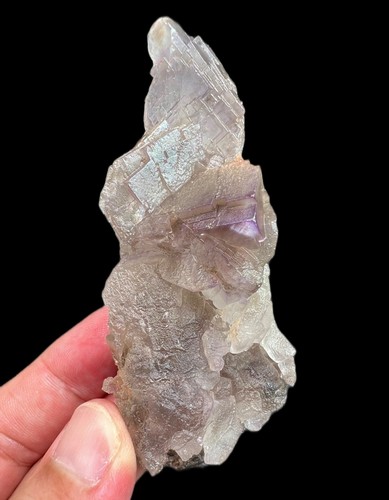 Natural purple phantom - natural,