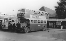 BLACK & WHITE BUS PHOTO MAIDSTONE & DISTRICT LEYLAND PD2/12 NKT 910