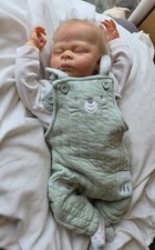 Gorgeous reborn/doll