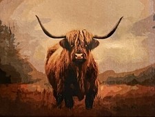 Highland Cow Painting by Numbers For Adults   50 x 40cm - Christmas Gift