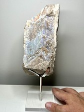 Andamooka Opal Painted Lady