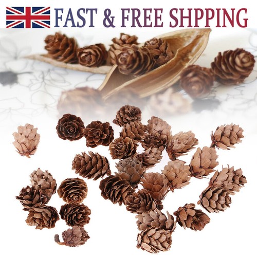 Mini christmas pine cones - christmas,