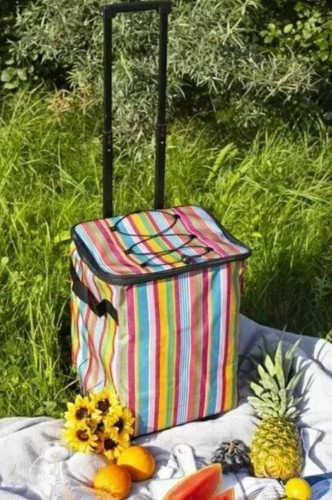 Pull along picnic cool bag - along,