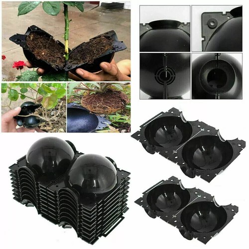 Plant root high - pressure, box