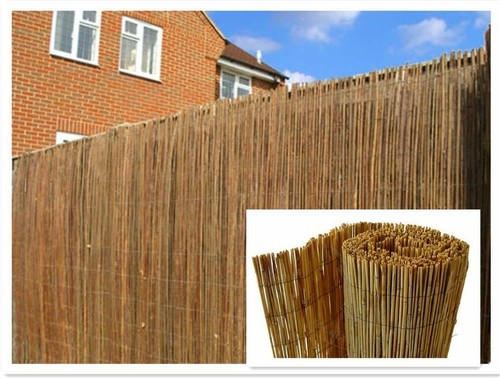 Natural peeled reed screening - reed,