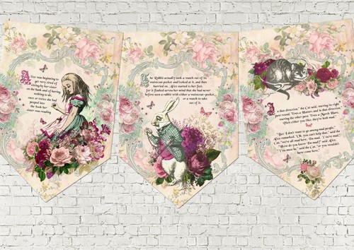 Alice wonderland story book - alice,