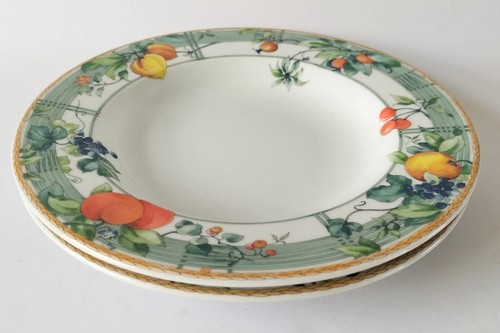 Wedgwood eden rimmed bowls 2 - eden,