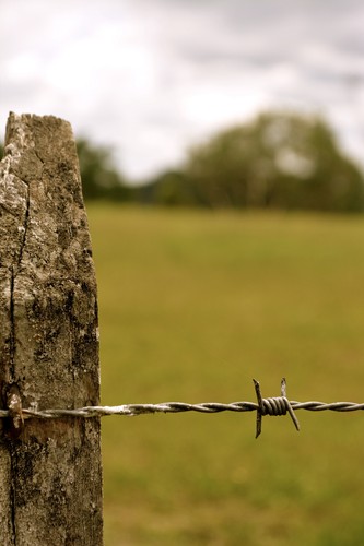Barbed wire 100m galvanised - barbed,