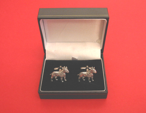 English bull terrier - terrier, dog
