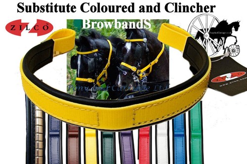 Carriage driving bridle - driving, colour