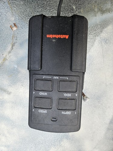 Raymarine