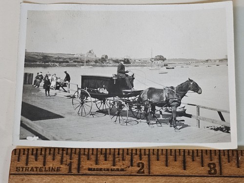 1910s casco bay - bay, horse