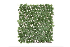 Boston Ivy Willow Expandable