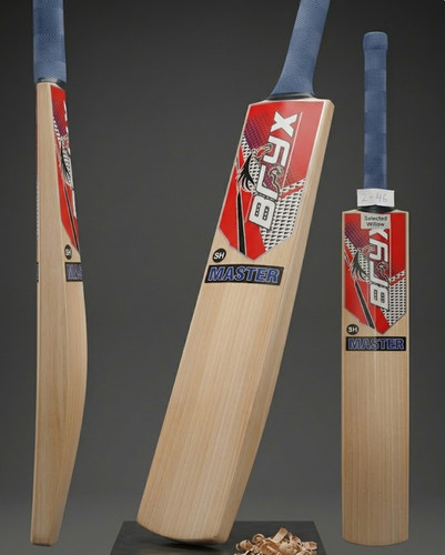 Bryx master cricket - cricket,