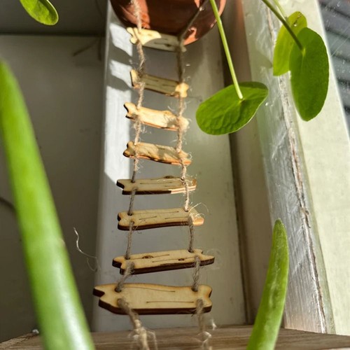 Diy decorative accessory fairy - decorative,
