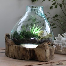 30cm Large Fish Tank Bowl