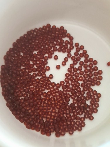 20grams japanese glass seed - japanese,