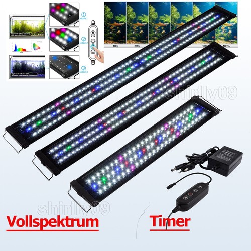 Full spectrum aquarium fish - aquarium,