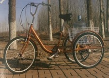 bike adult tricycle brand