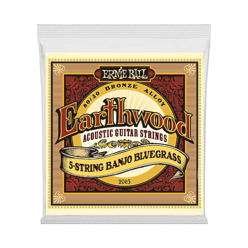 Ernie ball earthwood - ernie,