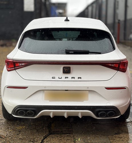 Cupra leon custom stainless - custom,