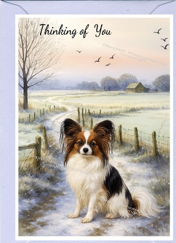 Papillon butterfly dog - papillon,