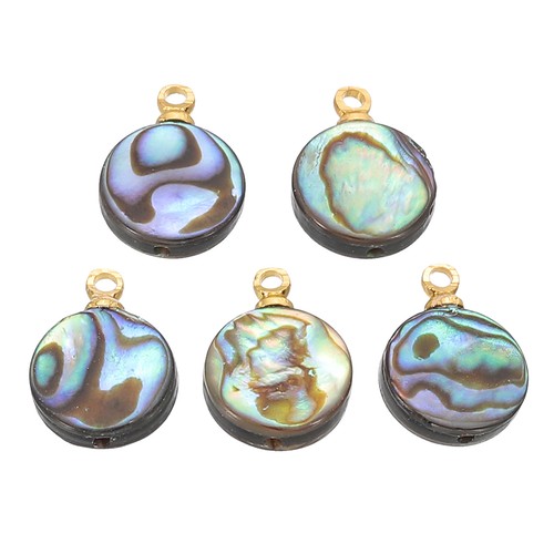 Abalone shell charm pcs - 5,
