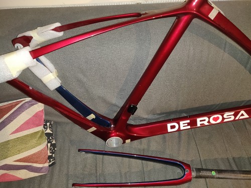 Rosa idol size - size, 55cm
