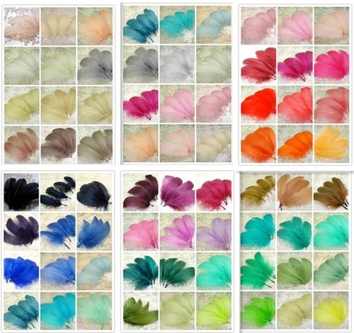 Loose goose feathers for - loose,