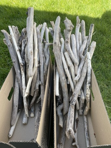 Driftwood pieces art - +,