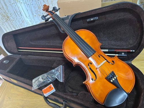 Stentor student violin - stentor,