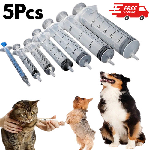 5pcs reusable big - 5pcs, large