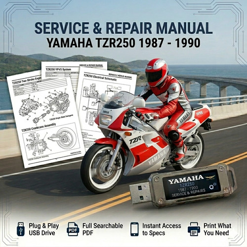 Yamaha tzr250 tzr 250 1987 - tzr,