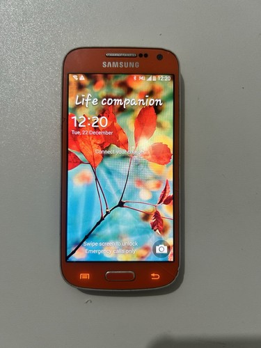 Samsung galaxy mini 8gb - samsung,