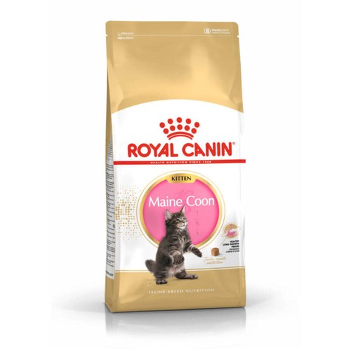 Royal canin kitten maine coon - maine,
